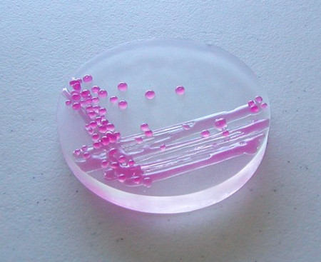 petri dish soap