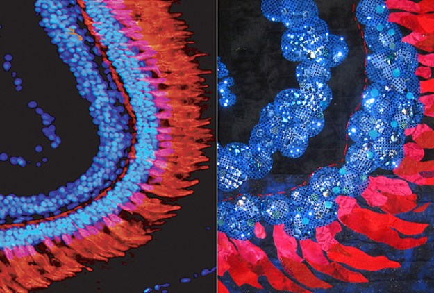 Art Under the Microscope