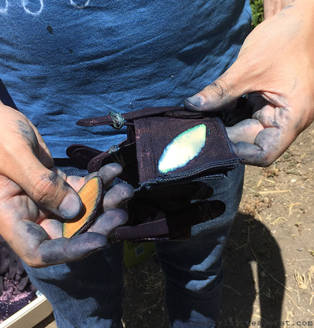 Shibori butterfly - Crafty Little Secret - www. craftylittlesecret.com